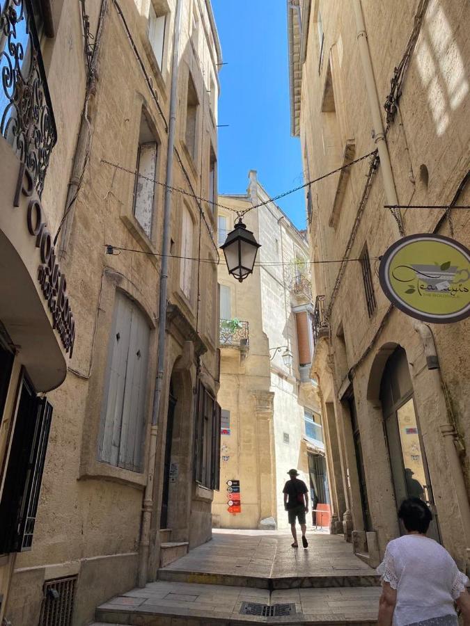 Hirondelle De Montpellier Διαμέρισμα Εξωτερικό φωτογραφία